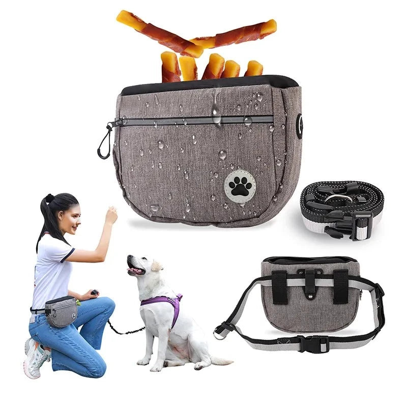 Pet Portable Dog Training Waist Bag