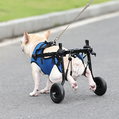 Walk Booster Dog Wheelchair