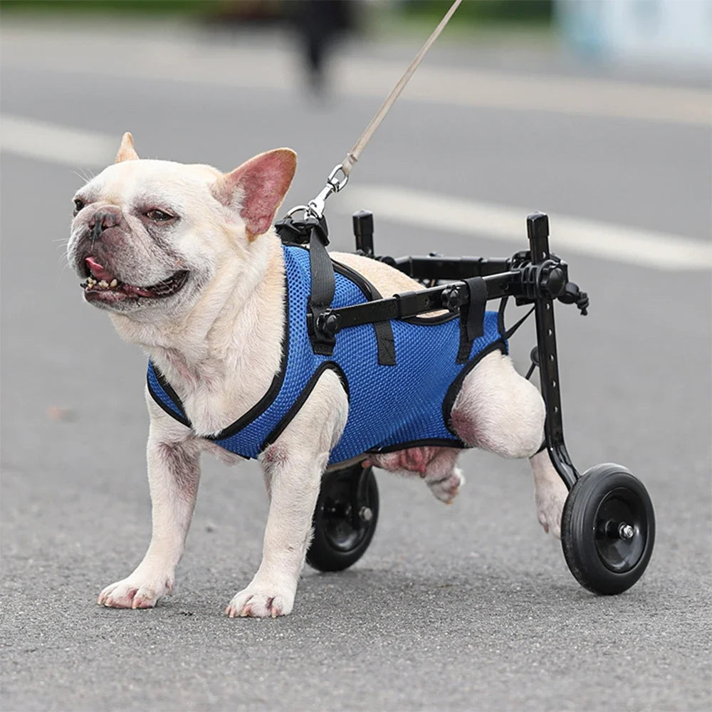 Walk Booster Dog Wheelchair