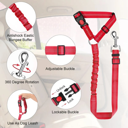 Dog leash with buffer elastic