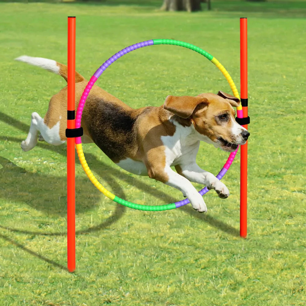 Portable Pet Training Equipments