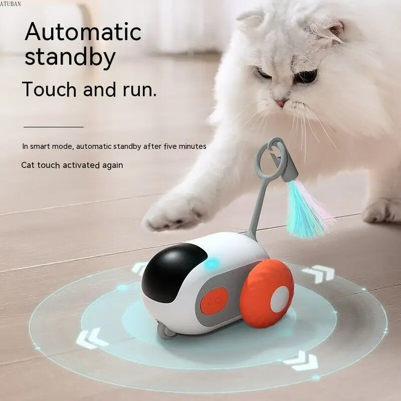 Rechargeable Wicked Car for Indoor Cats