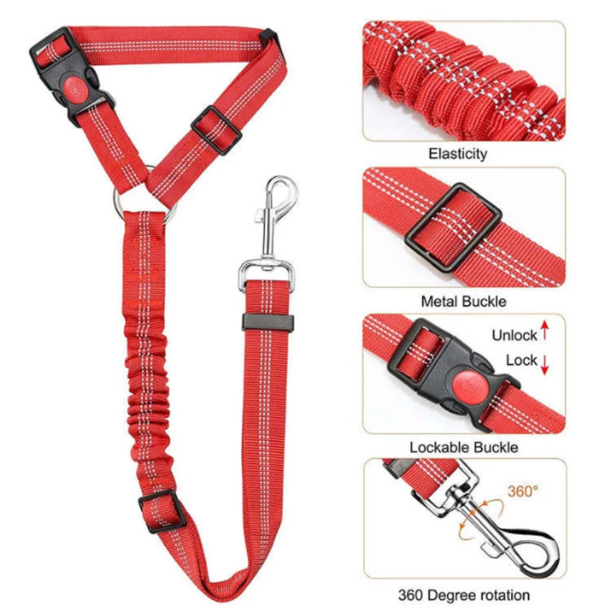 Dog leash with buffer elastic