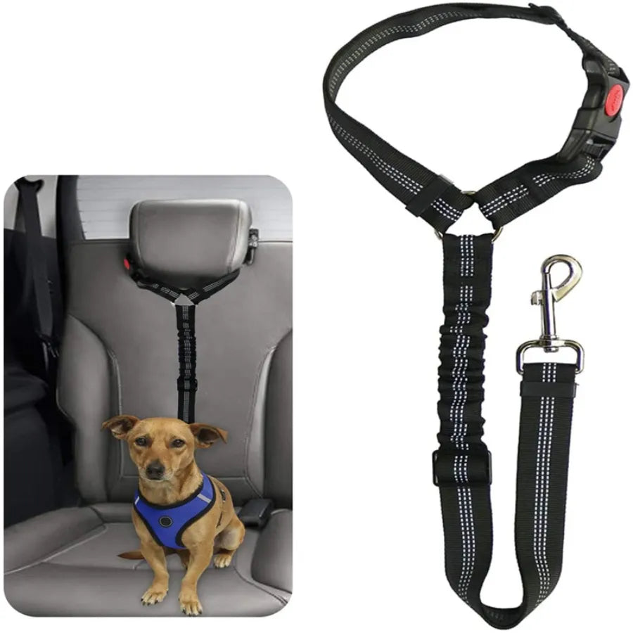 Dog leash with buffer elastic