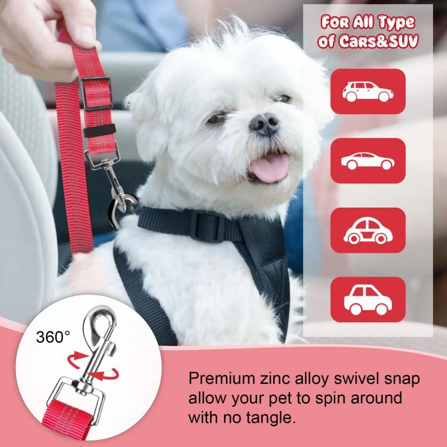 Dog leash with buffer elastic