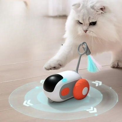 Rechargeable Wicked Car for Indoor Cats